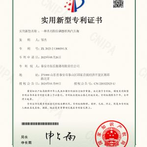 202321308591X一種具有限位調(diào)整機(jī)構(gòu)汽車衡